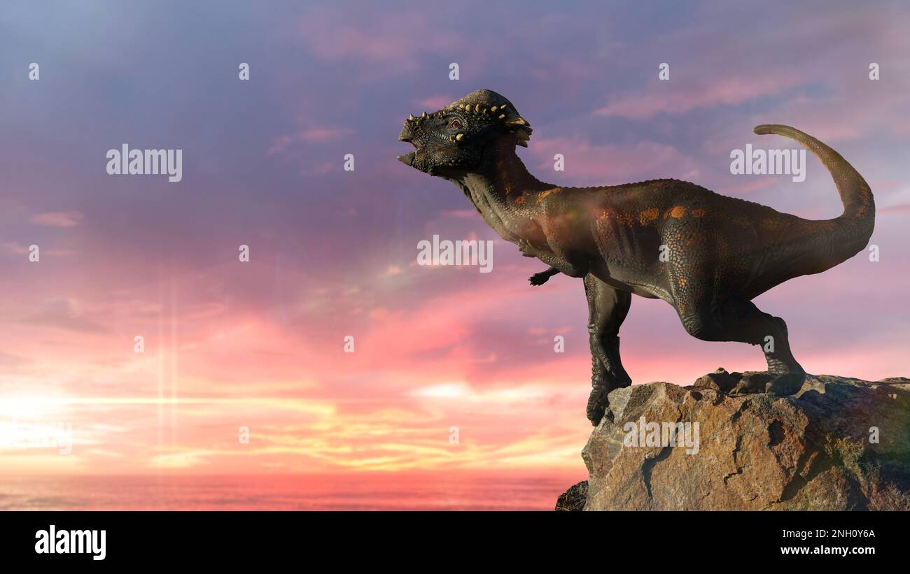 Pachycephalosaurus, dinosaur from the Late Cretaceous period Stock