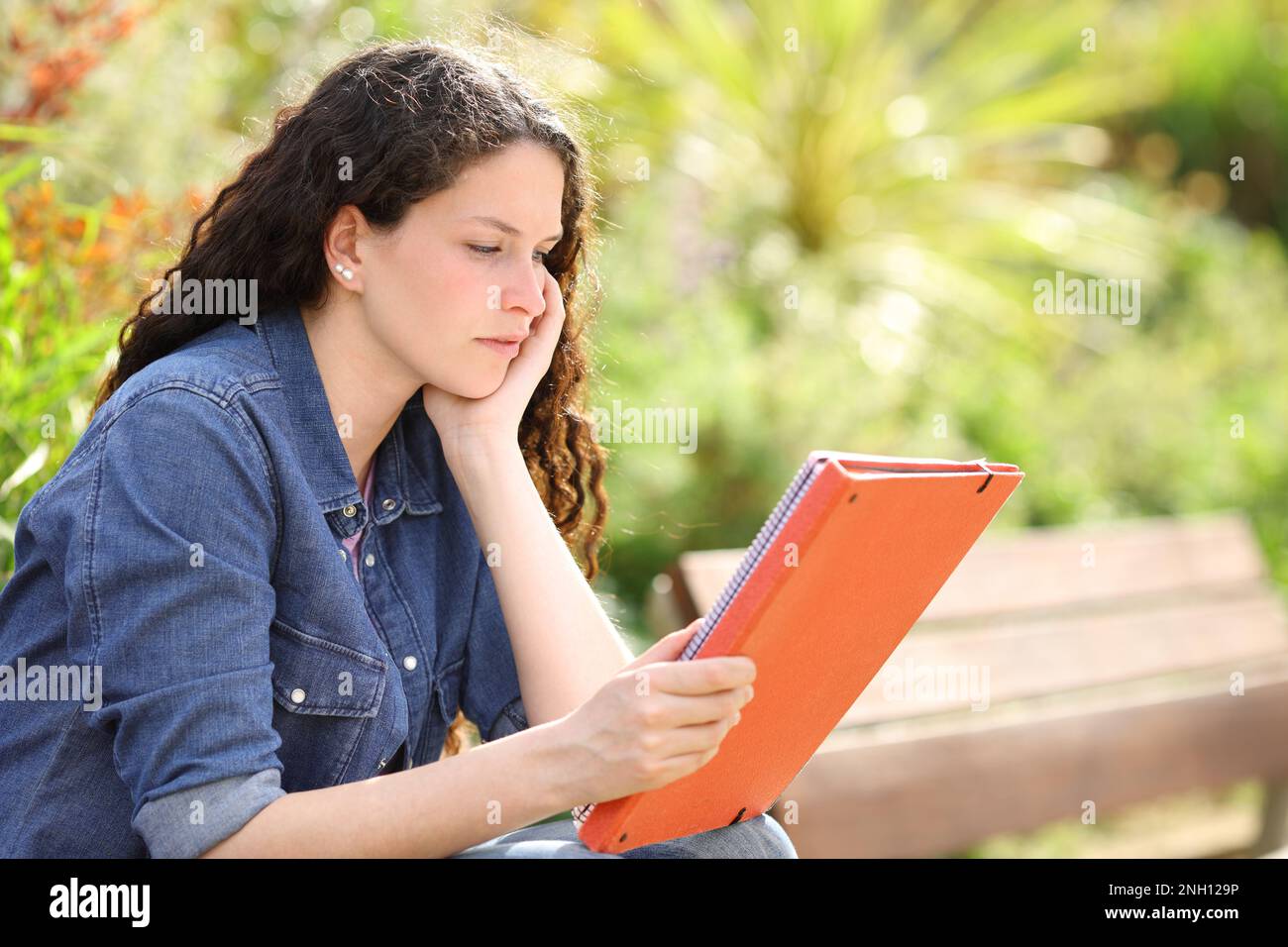 Student learning reading notes sitting in a bench in a park Stock Photo