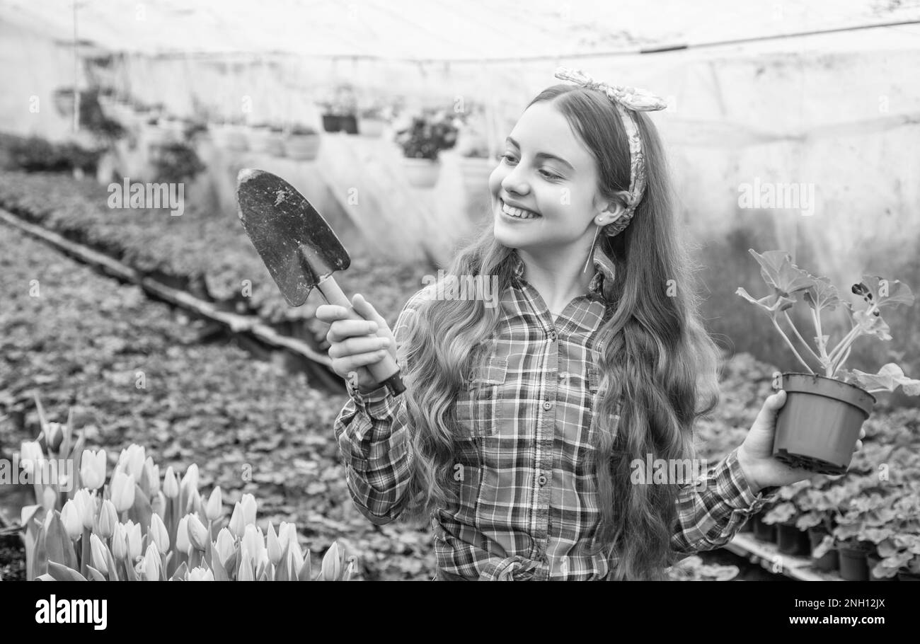 Nursery greenhouse Black and White Stock Photos & Images - Alamy