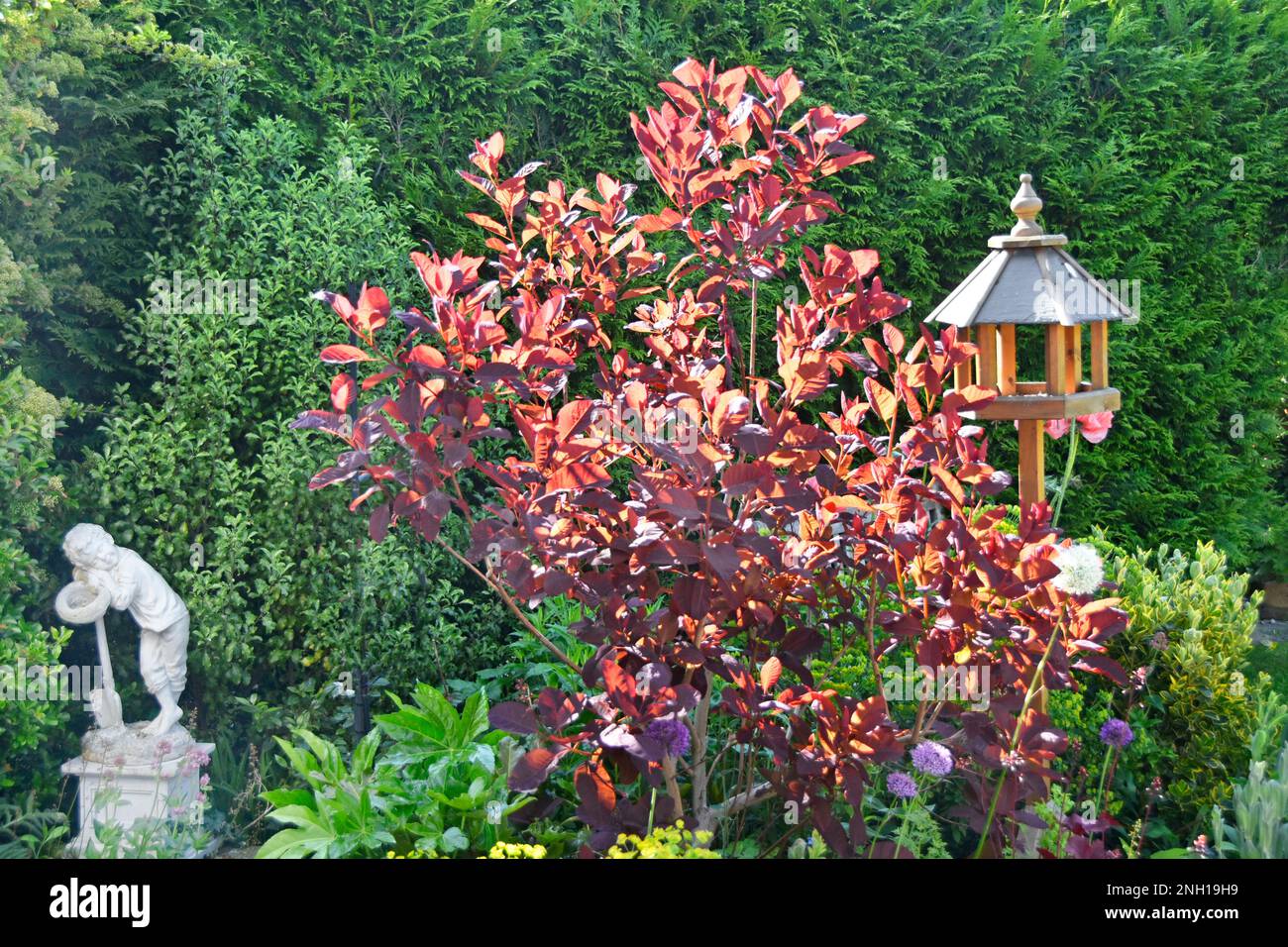 Little boy resting statue in English back garden deciduous autumn colour of Cotinus variety Royal Purple & roofed bird feeder table Essex England UK Stock Photo