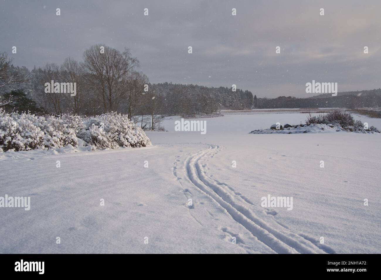 BOTKYRKA visual data 3