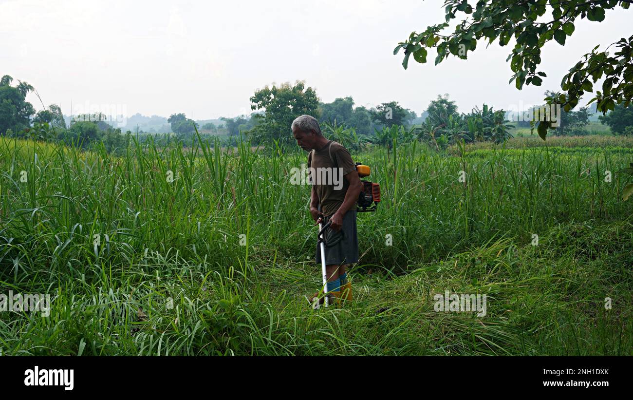 old man is clearing cut the weeds using a lawn mower weed Cordless fuel portable garden Trimmer Stock Photo