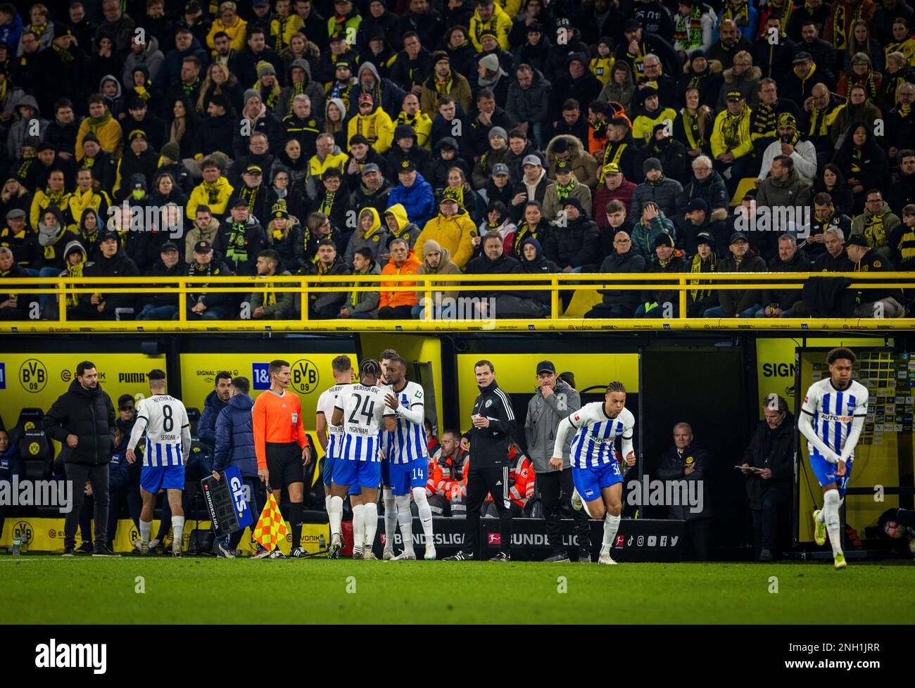 Hertha Bsc: Amtlich! Katar Wechsel Enthüllung! Die Geheime Summe, Die Hertha Für Kwasigrochs Deal Erhielt! - jswinef