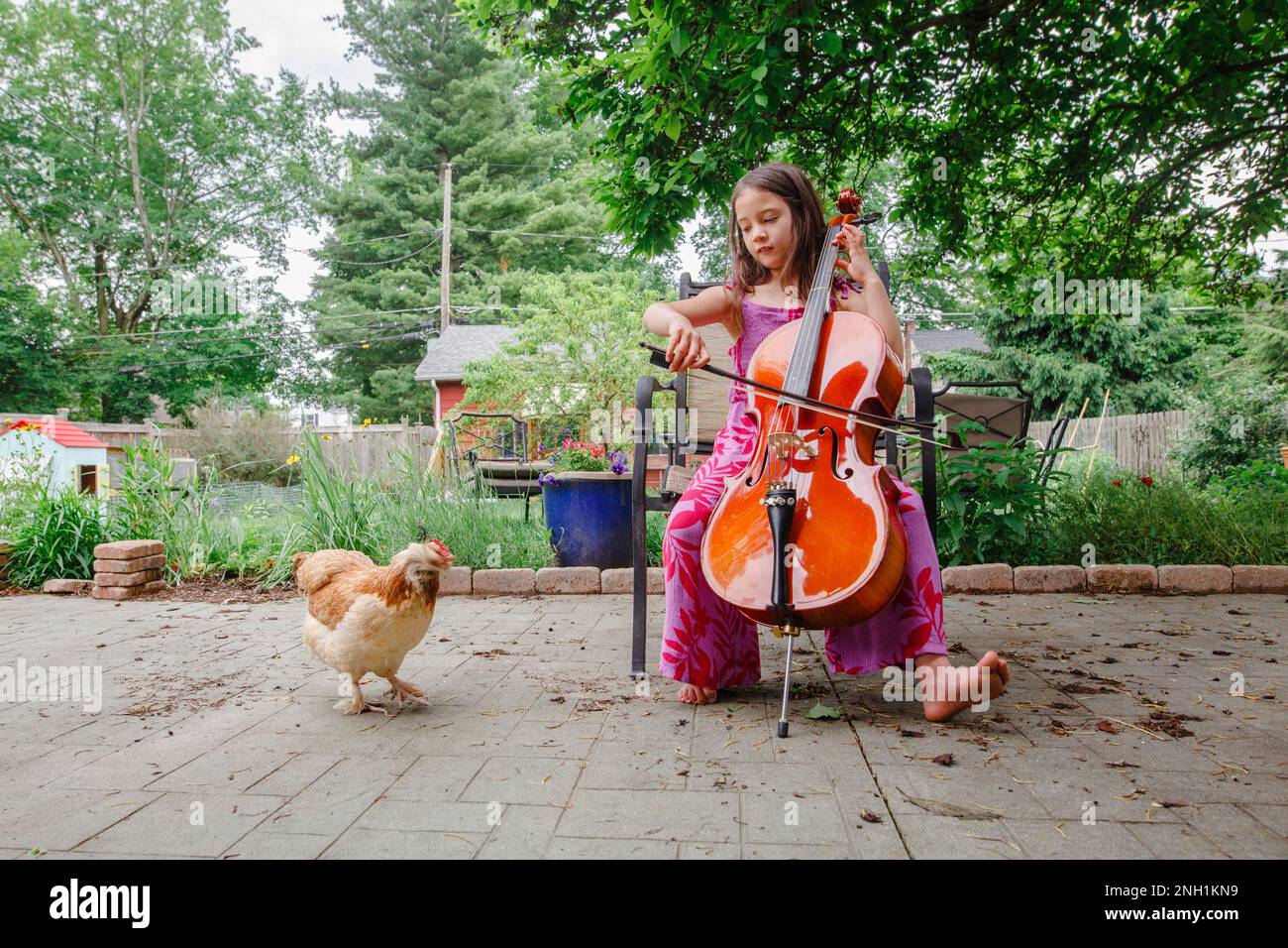 A small happy child plays cello concert for pet chicken outside Stock Photo