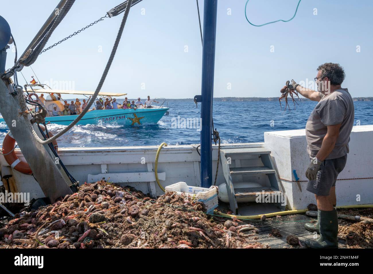Patron shows tourists an octopus from the catch on a tour boat Stock ...