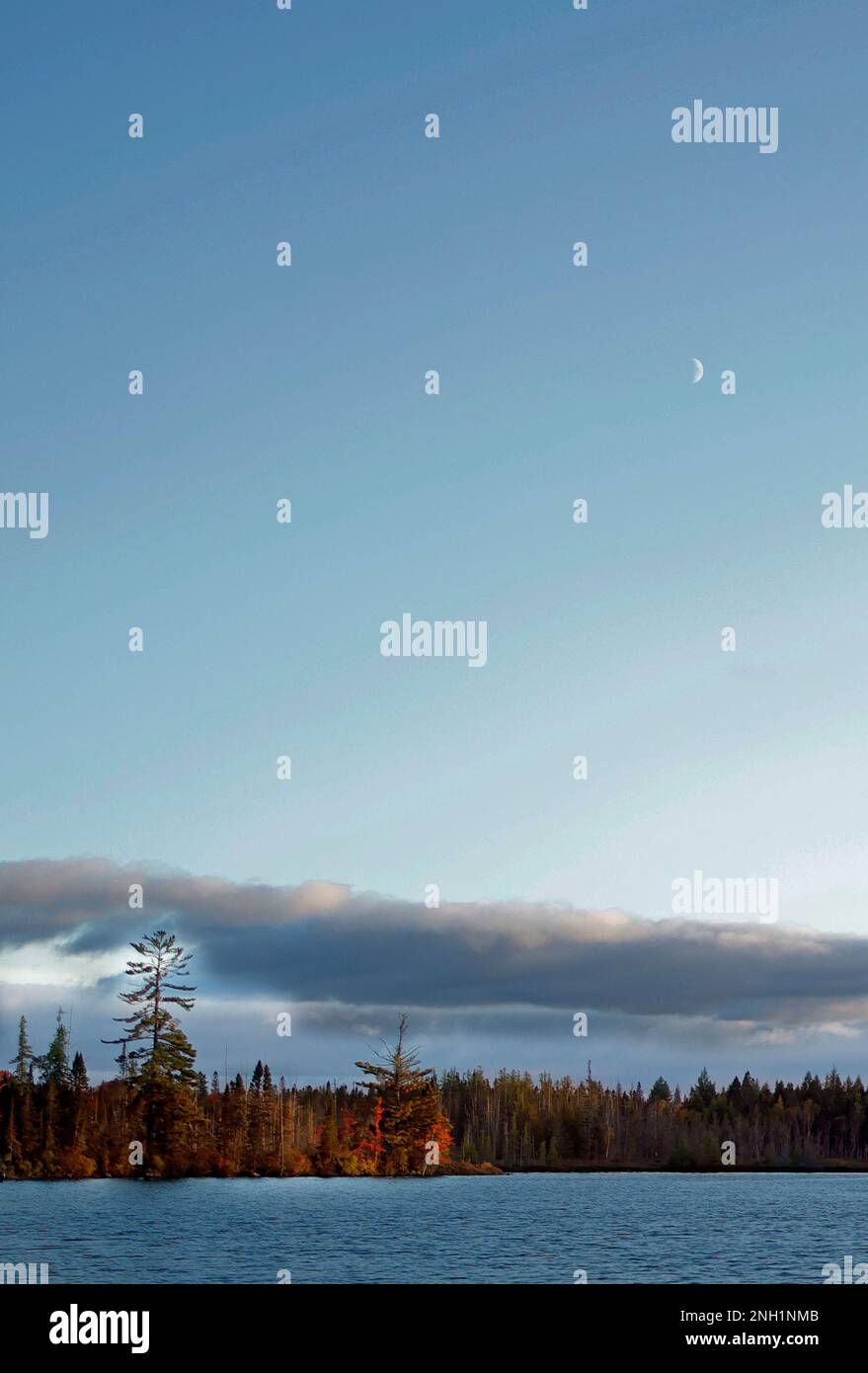 Vertical shot misty lake hi-res stock photography and images - Alamy