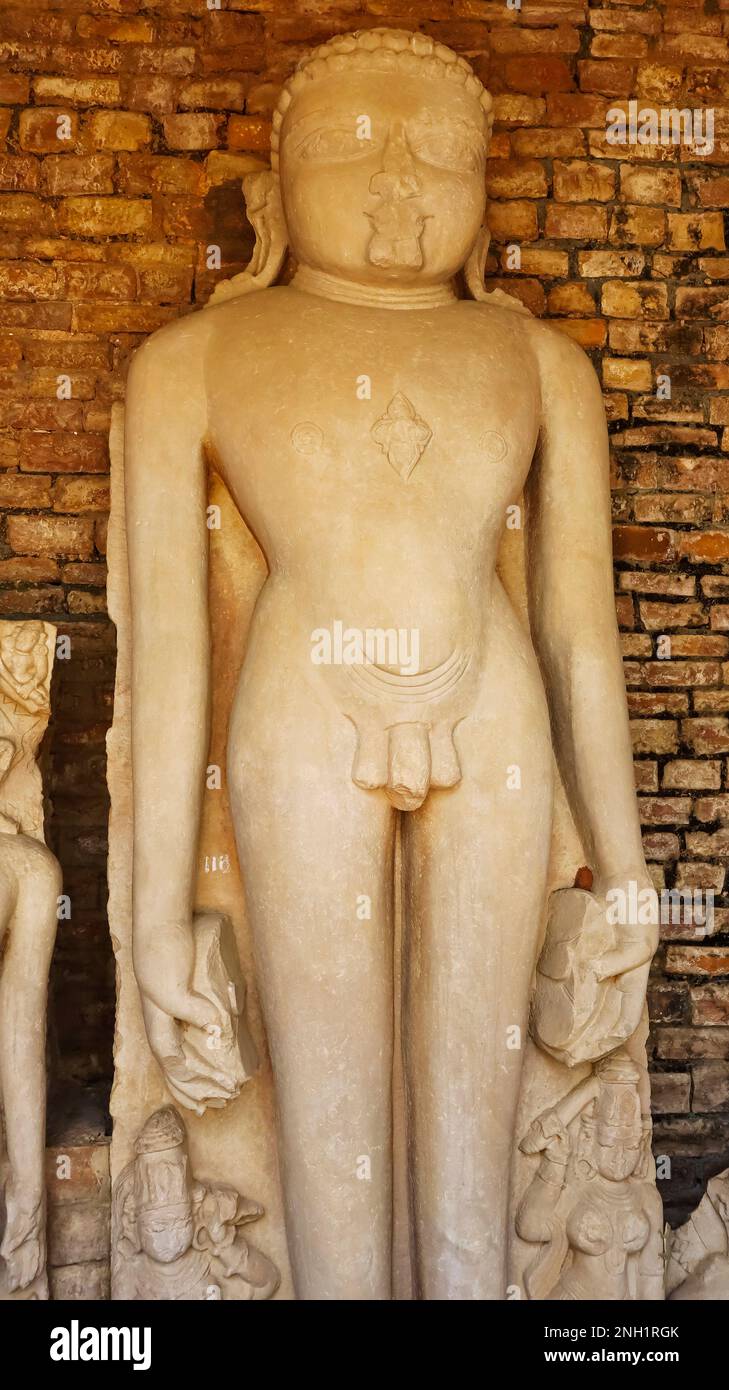 Statue of 12. - 15 ft Jain Tirthankara at Ajaygarh Fort, Panna, Madhya Pradesh, India. Stock Photo