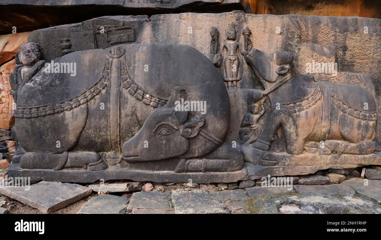 Sculpture of Nandi bull. There is a yantra of lock and key above symbolising that the treasury. May have been here. Ajaygarh Fort, Panna, Madhya Prade Stock Photo