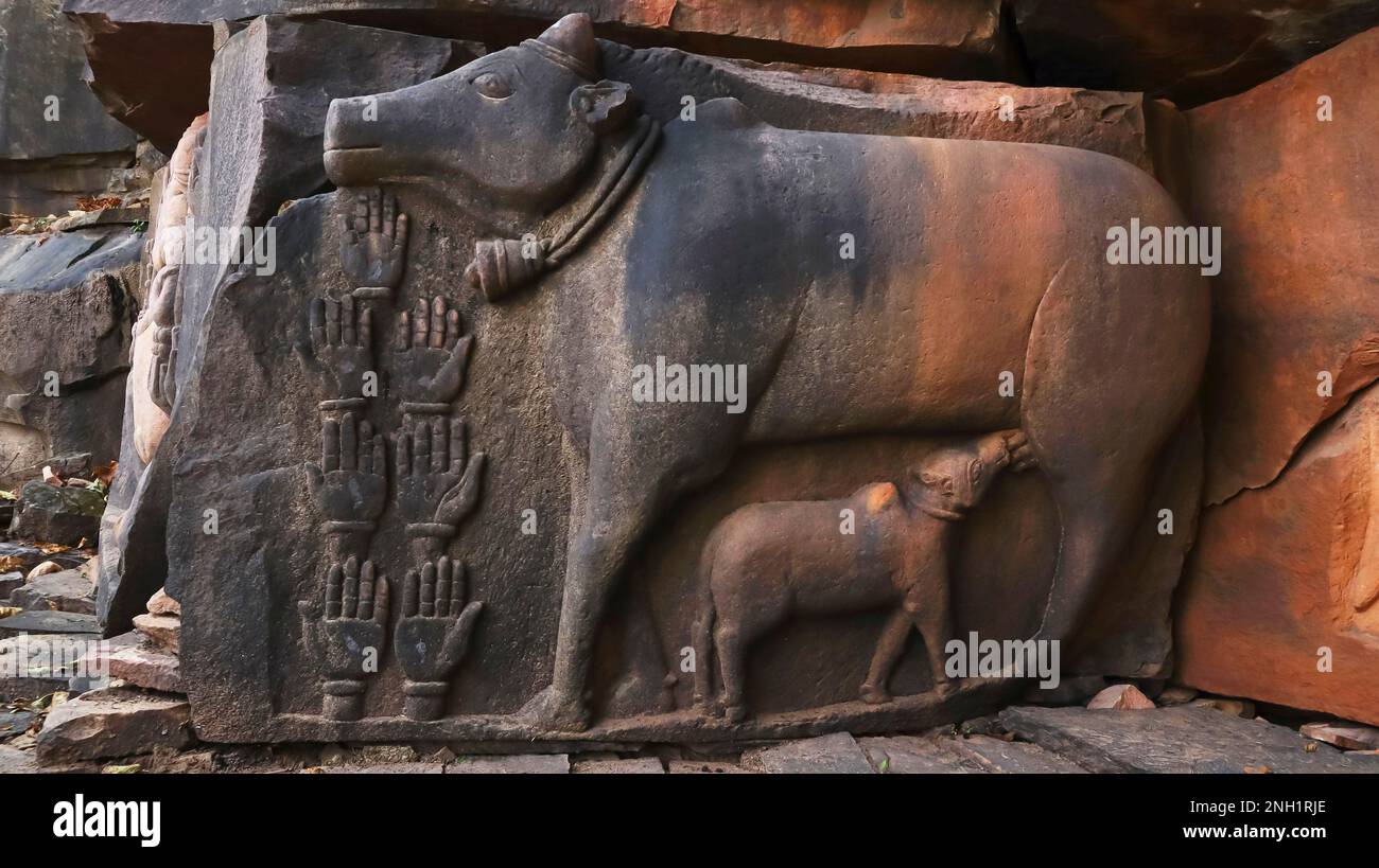 Carving of Cow feeding calf and hands sculpture on the Wall of Ajaygarh Fort, Panna, Madhya Pradesh, India. Stock Photo