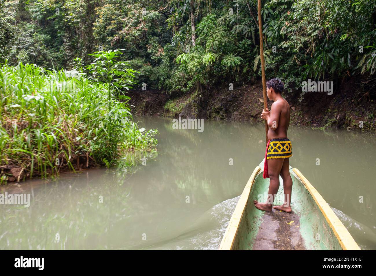 An indigenous Embera man in traditional dress stands in the front of the dugout canoe or cayuco with a long pole to move the boat in shallow water.  P Stock Photo