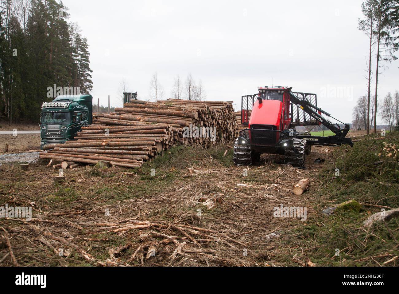 Logging truck loading timberdeforastation area Stock Photo