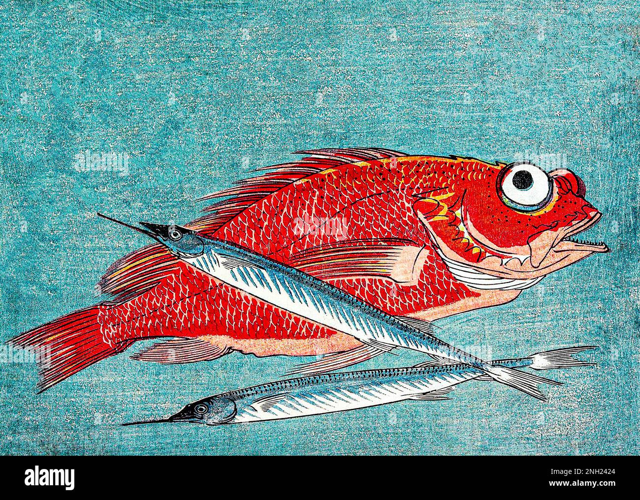 Red Snapper and Halfbeak (1835-1839) by Utagawa Hiroshige. Original public domain image from the Minneapolis Institute of Art. Stock Photo