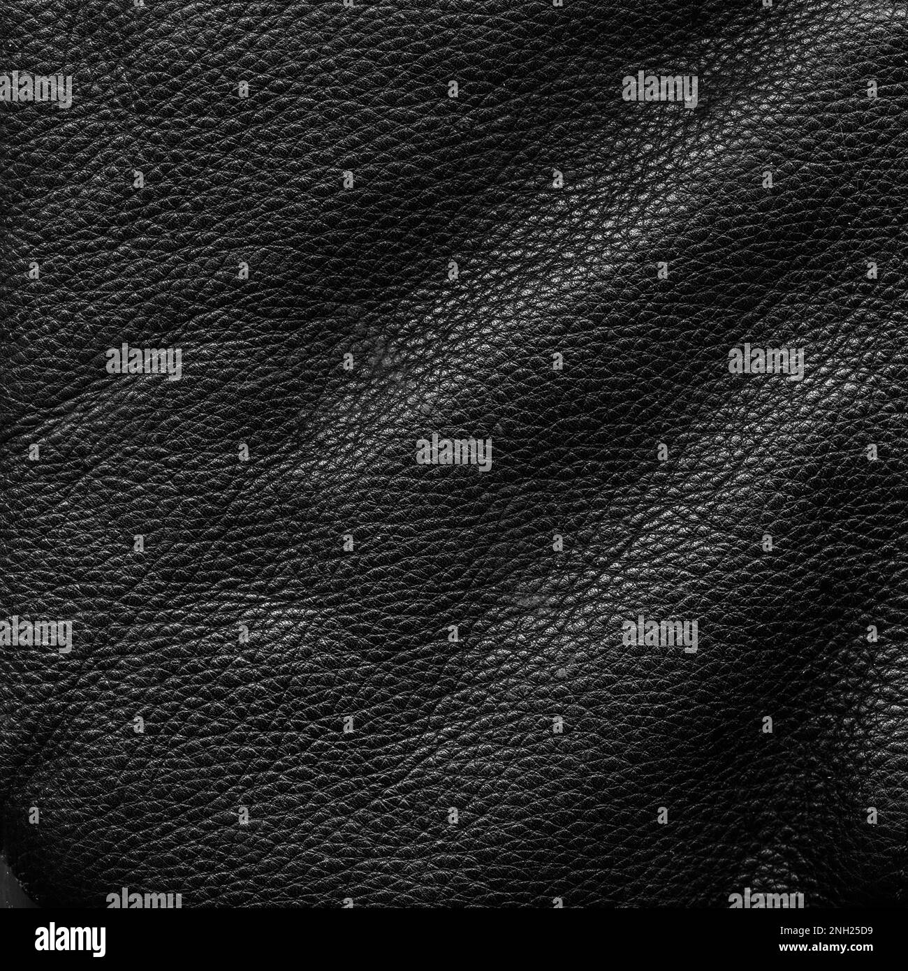 Detail of grain texture Black and White Stock Photos & Images - Alamy