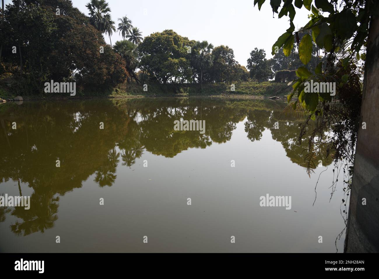 Pond adjacent to the Jal Mahal of the Sinha Raya Baganbati Estates. Chakdighi, East Bardhaman, West Bengal, India. Stock Photo