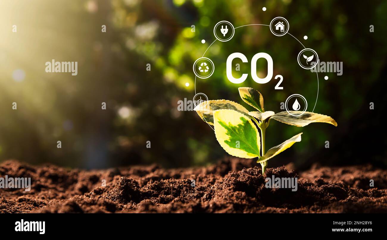Carbon dioxide, CO2 emissions, carbon footprint concept Stock Photo
