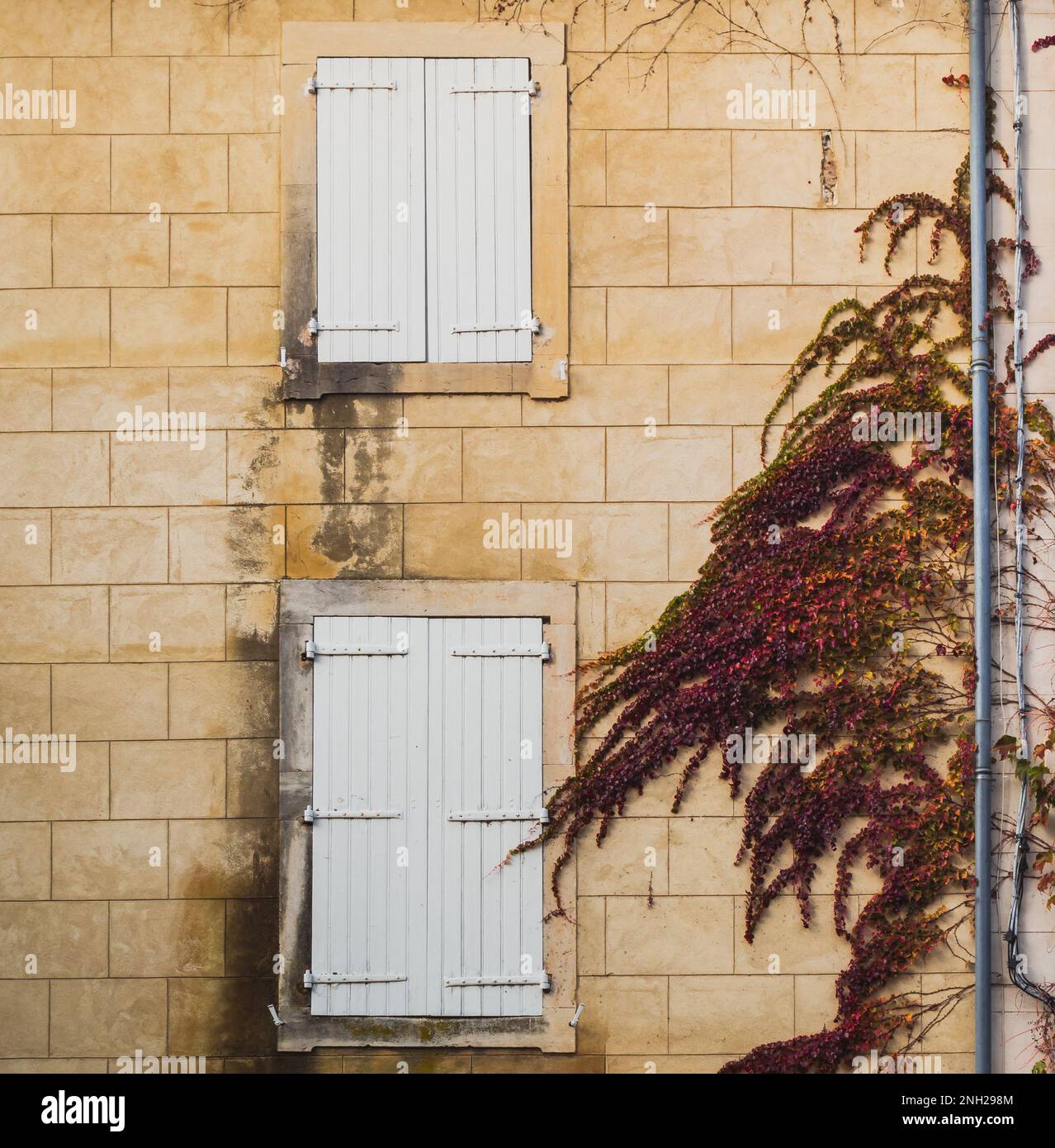 White shutters of an old stone building in Provence. The building is covered with colorful climbing plants Stock Photo