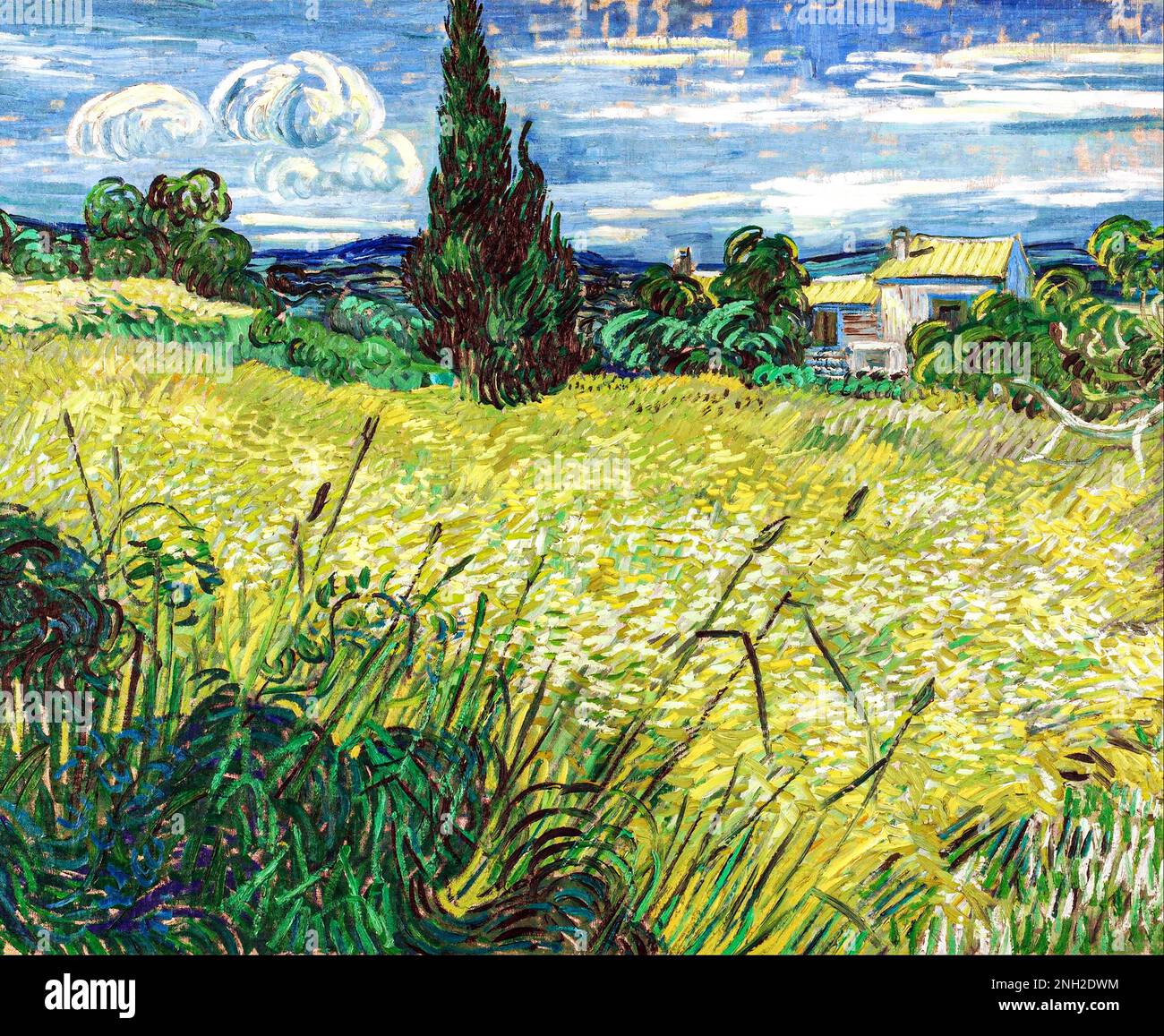 Vincent van Gogh - Green Field - Google Art Project Stock Photo
