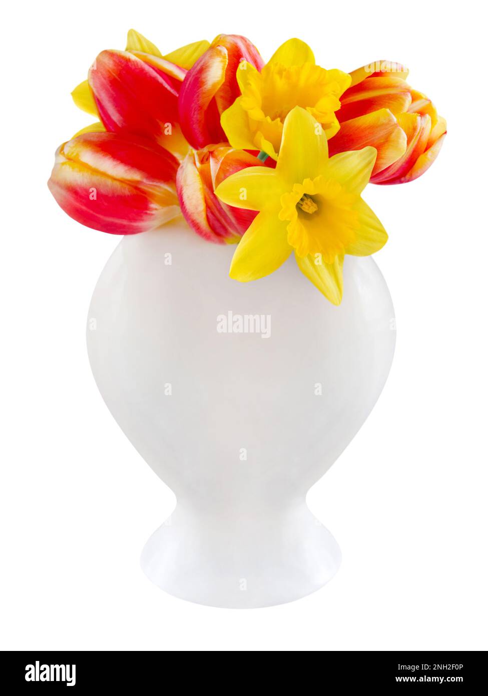 Tulips and daffodils with flower vase isolated on white background Stock Photo