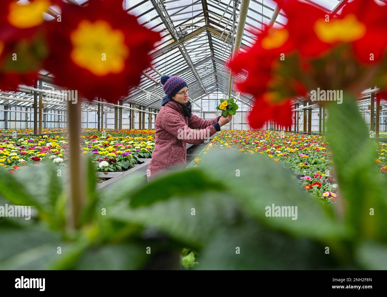 Manschnow, Germany. 20th Feb, 2023. Simone Rost, sales manager at