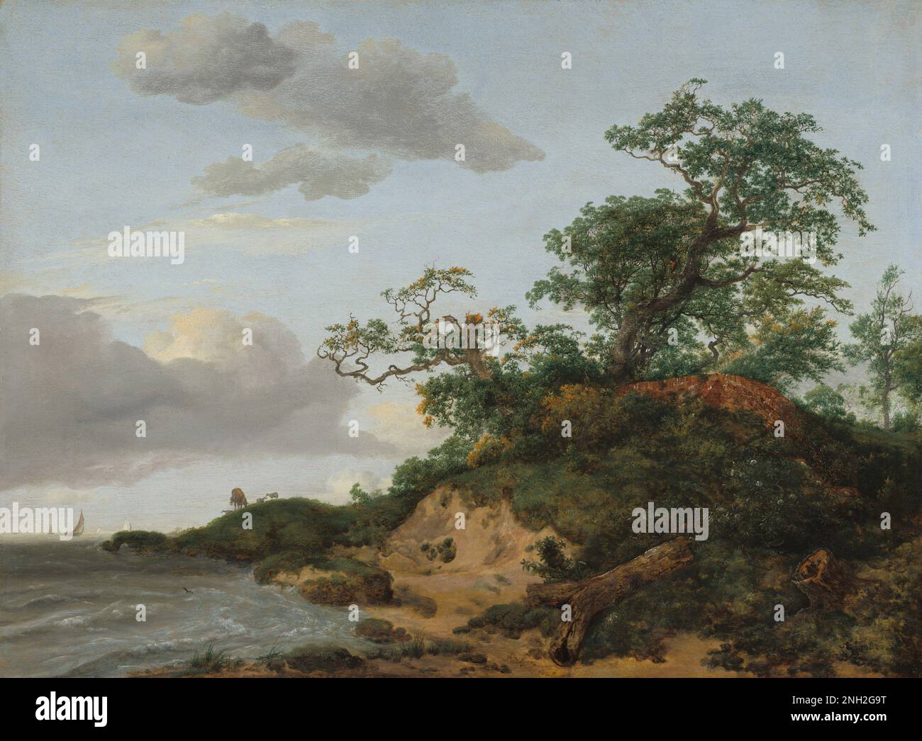 Jacob van Ruisdael Dunes by the Sea 1648 Stock Photo