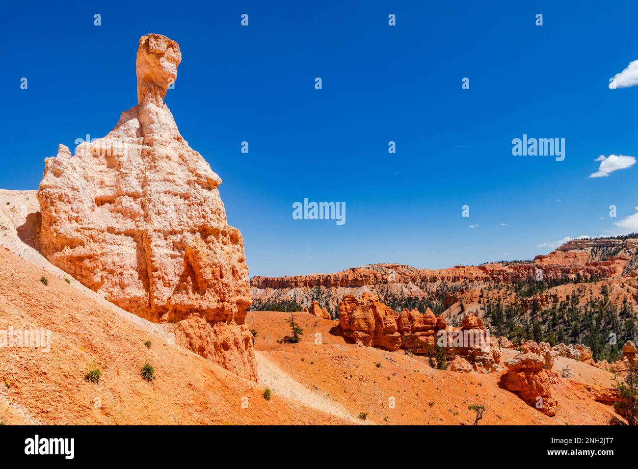 Striking rock formation on the picturesque Queens Garden Trail in the worth seeing Bryce Canyon National Park, USA Stock Photo
