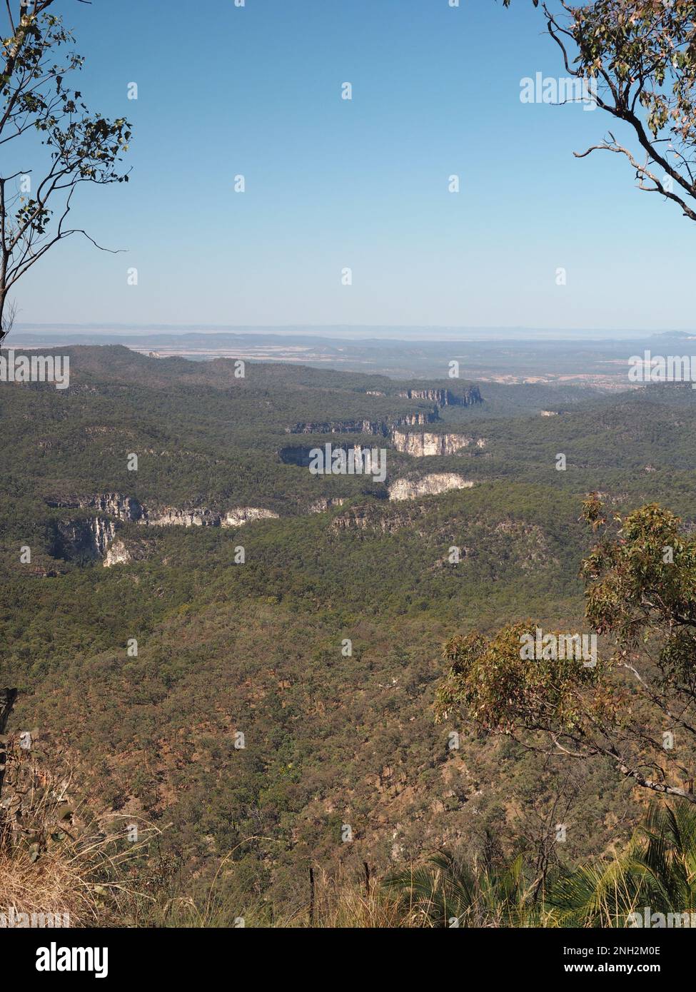 View down from battleship spur over the Carnarvon Gorge Stock Photo