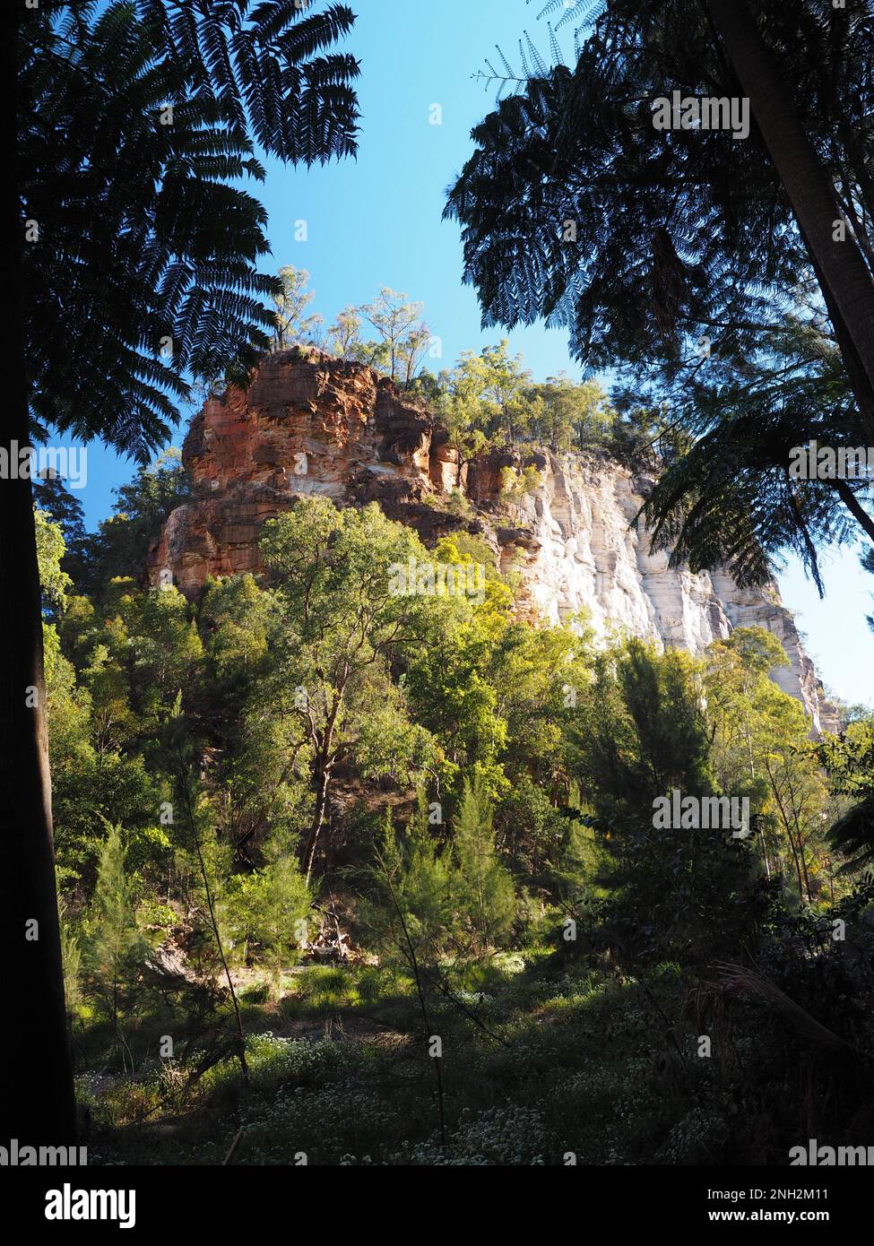 Hiking trail though Carnarvon Gorge, a sandstone gorge in Queensland, Australia Stock Photo