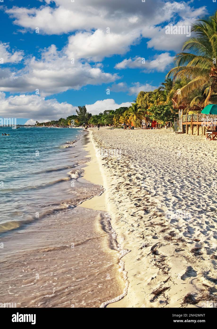 Beautiful tropical relaxing caribbean white sand paradise beach, green