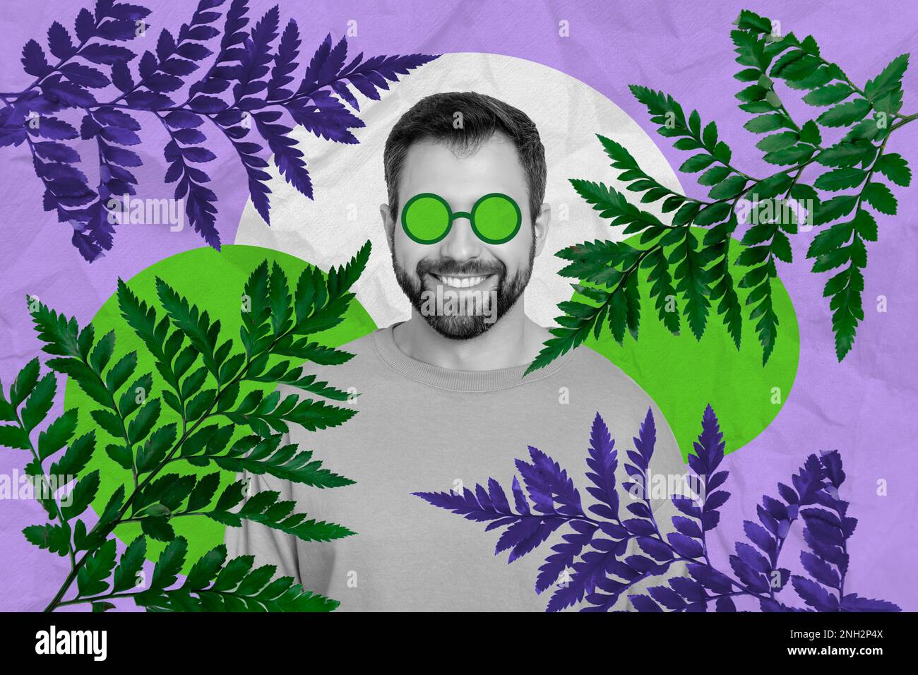 Creative photo collage of young positive satisfied man bristle beard wear painted glasses fern fresh leaves isolated on purple color background Stock Photo