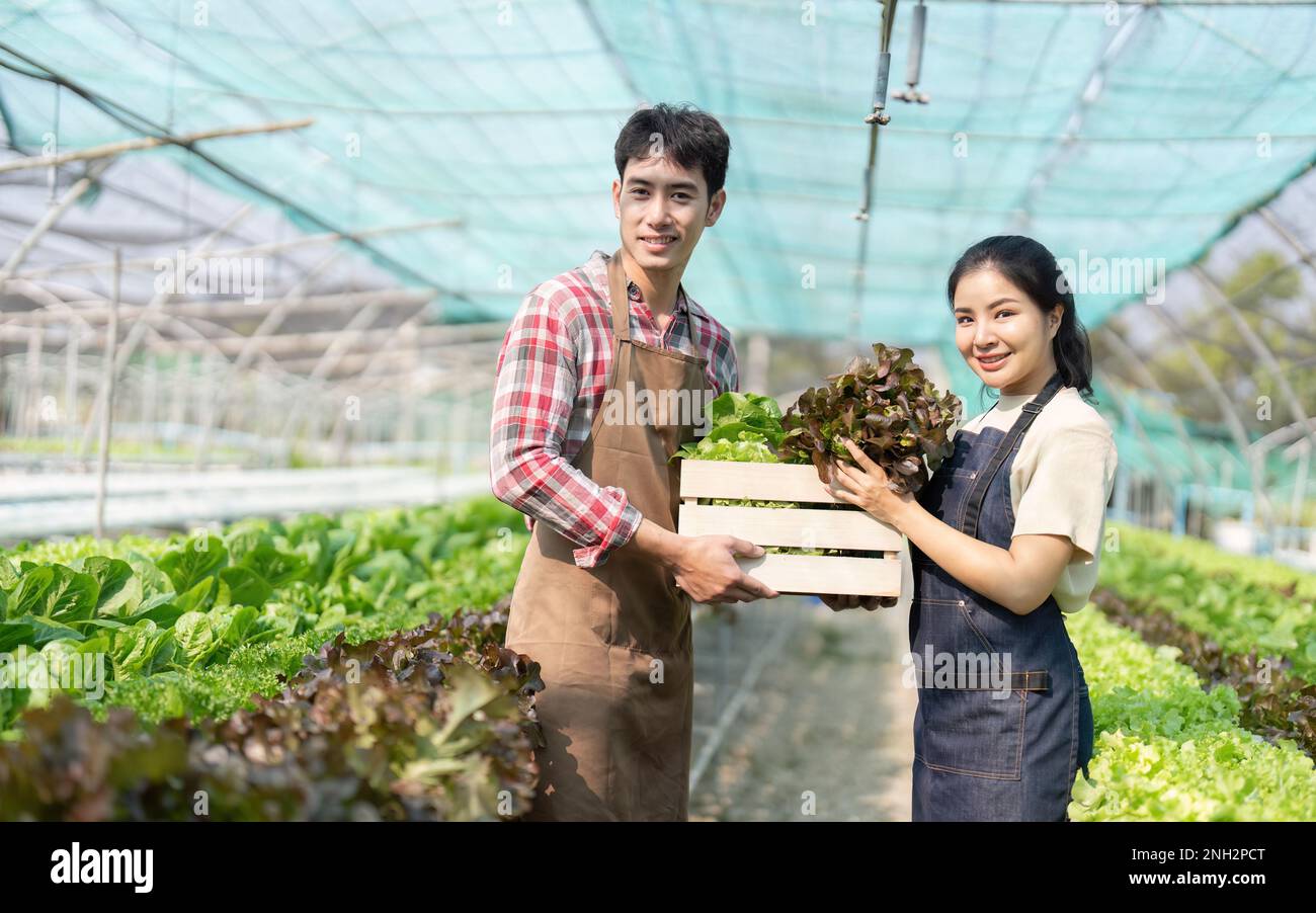 Asian young couple farmer in greenhouse hydroponic holding basket of ...