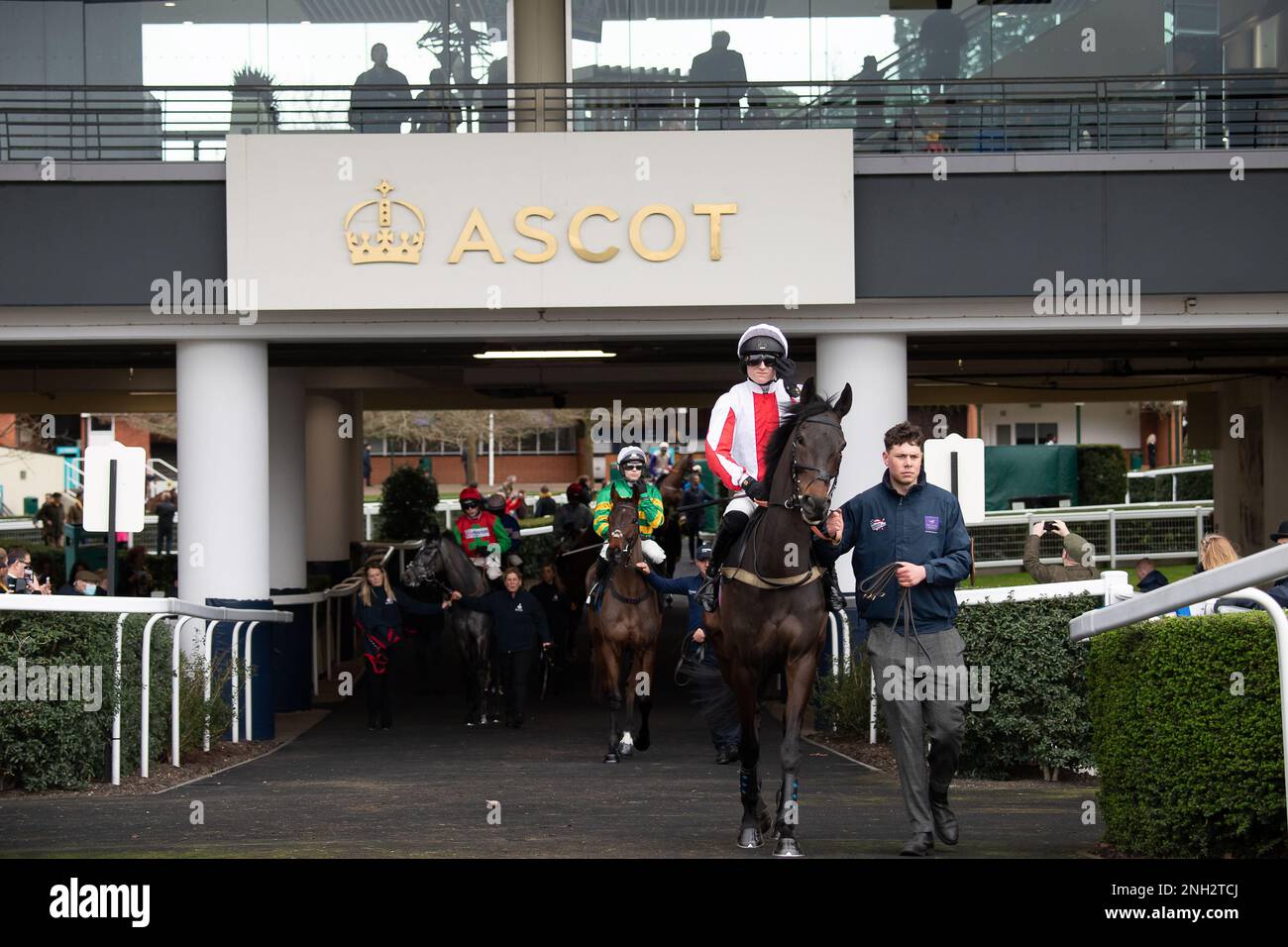 The ascot racecourse supports box4kids handicap hurdle race cla hi-res ...