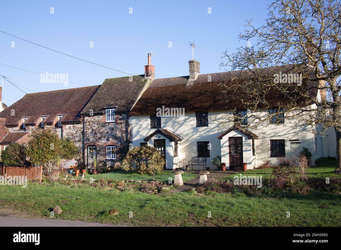 Thatched cottages in Wool, Dorset in the UK Stock Photo Alamy
