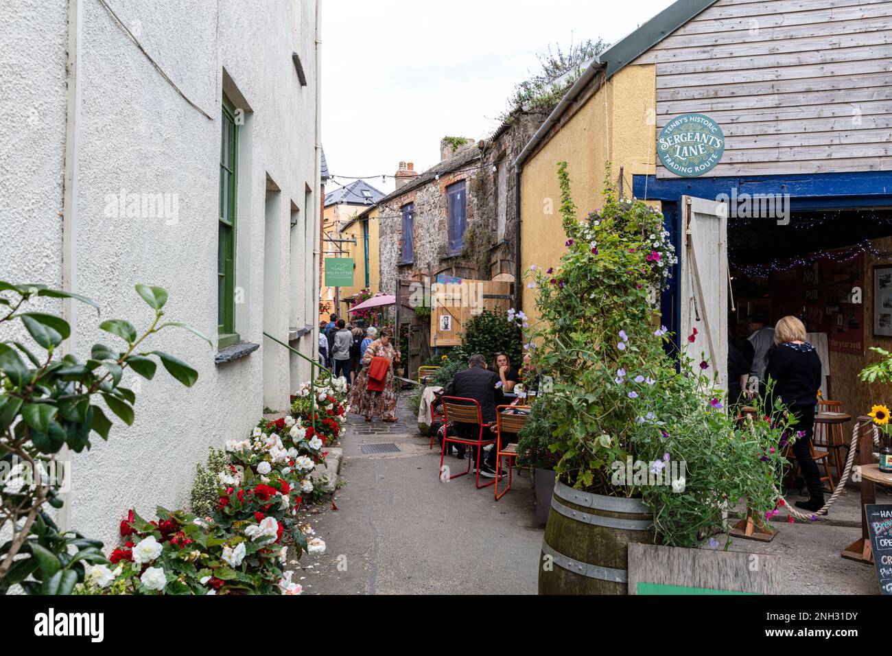 narrow lane in Tenby, Pembrokeshire, Wales, homes, houses, terrace, restaurant,cafe, flowers, life, living, Tenby Wales, Tenby UK, tenby, Stock Photo