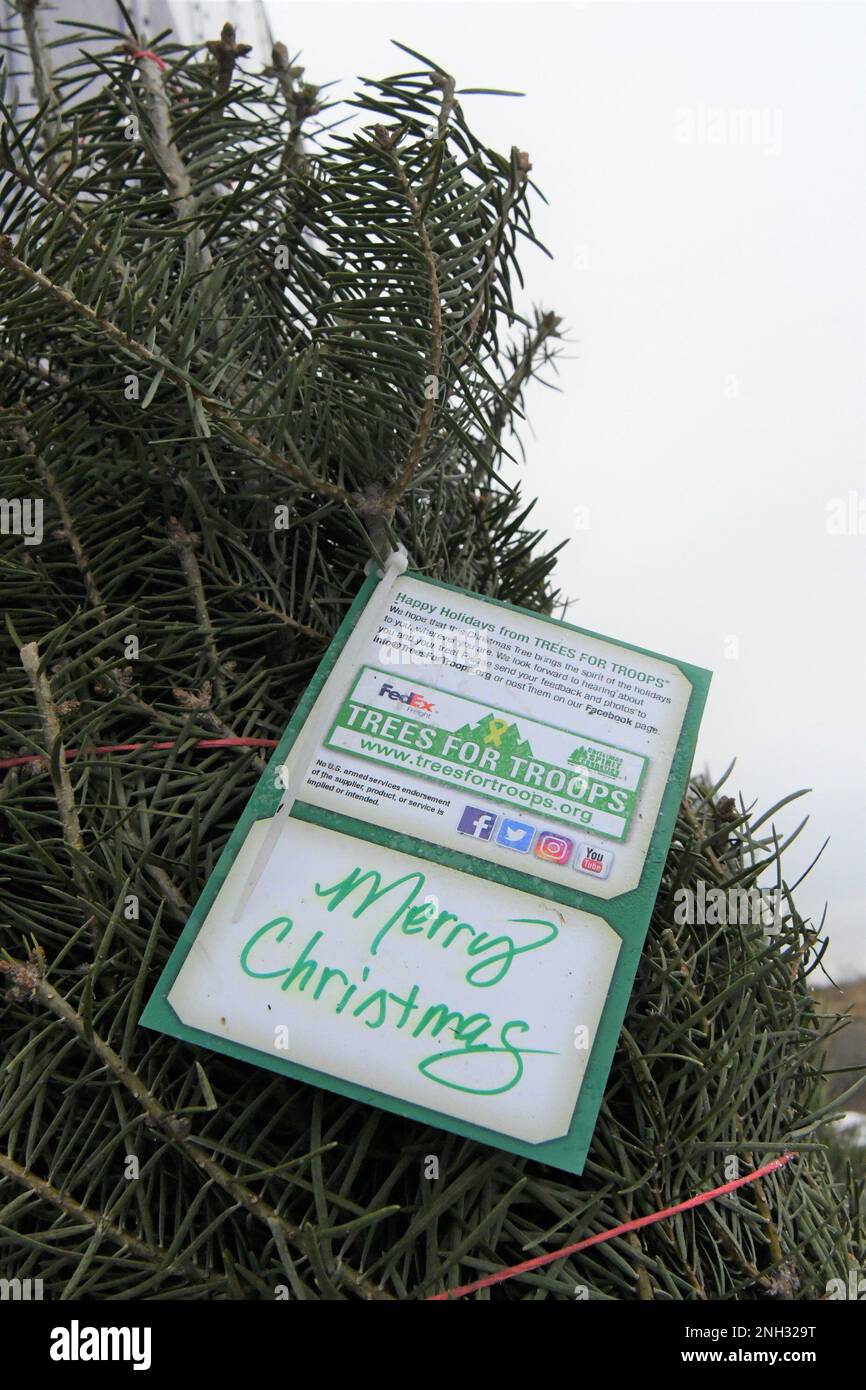 Fort Drum community members receive their free Christmas trees Dec. 9
