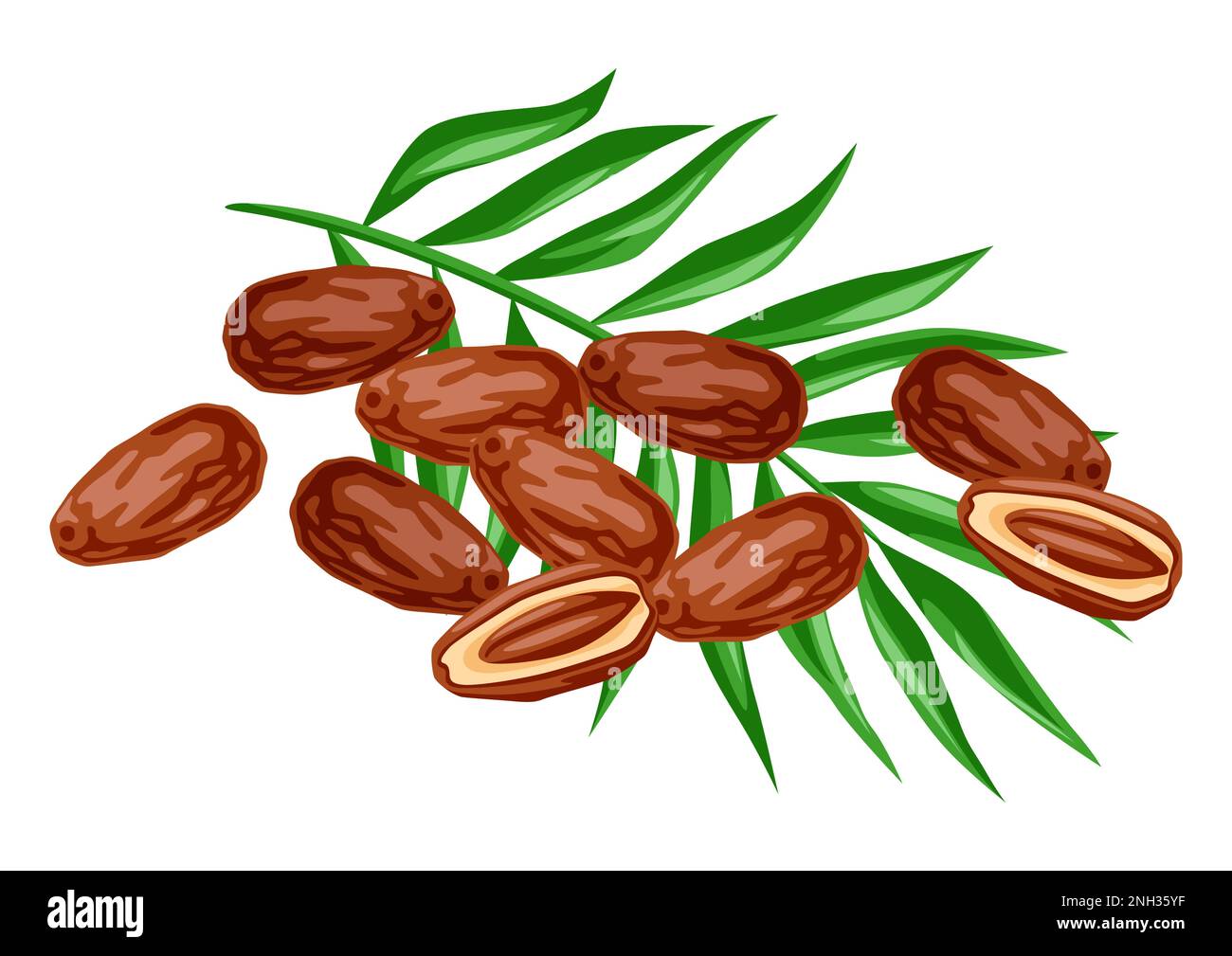 date-fruit-clipart