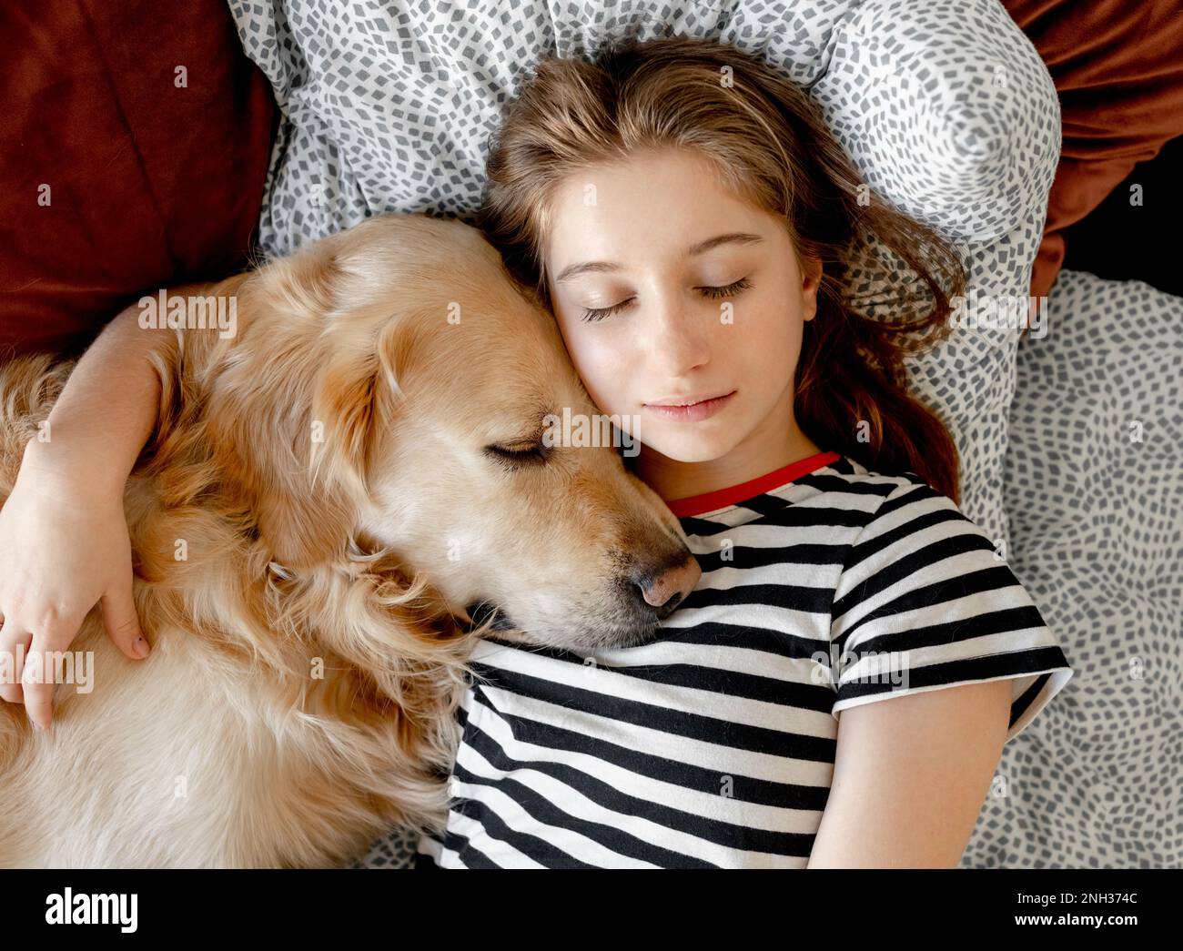 Girl with golden retriever dog in bed Stock Photo - Alamy