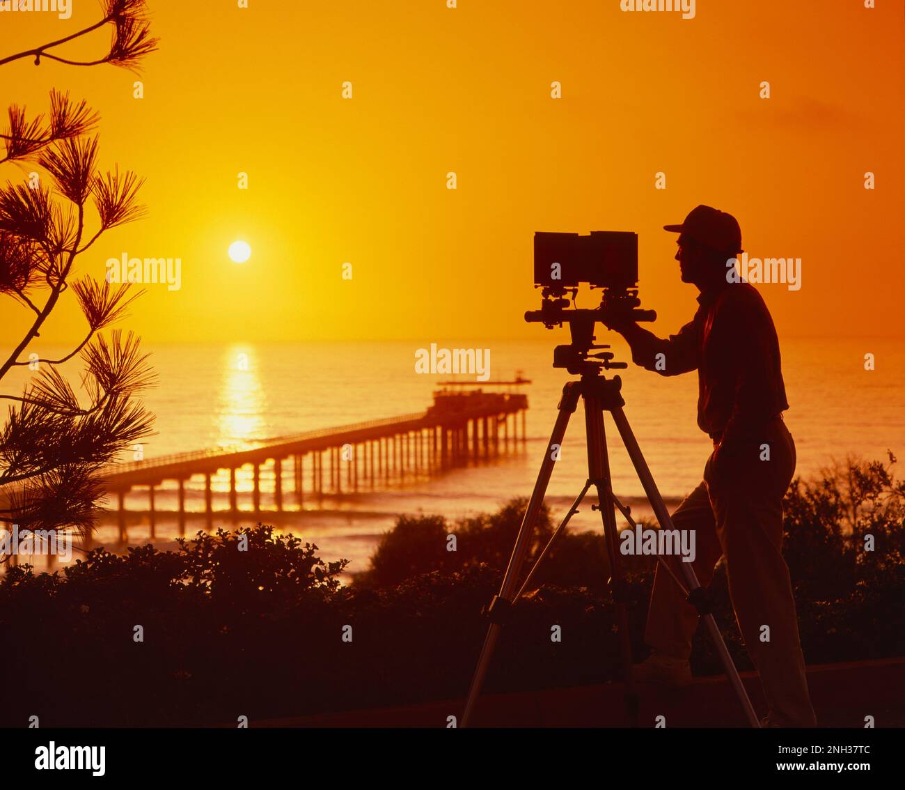 Man, professional photographer with large-format film camera on a ...