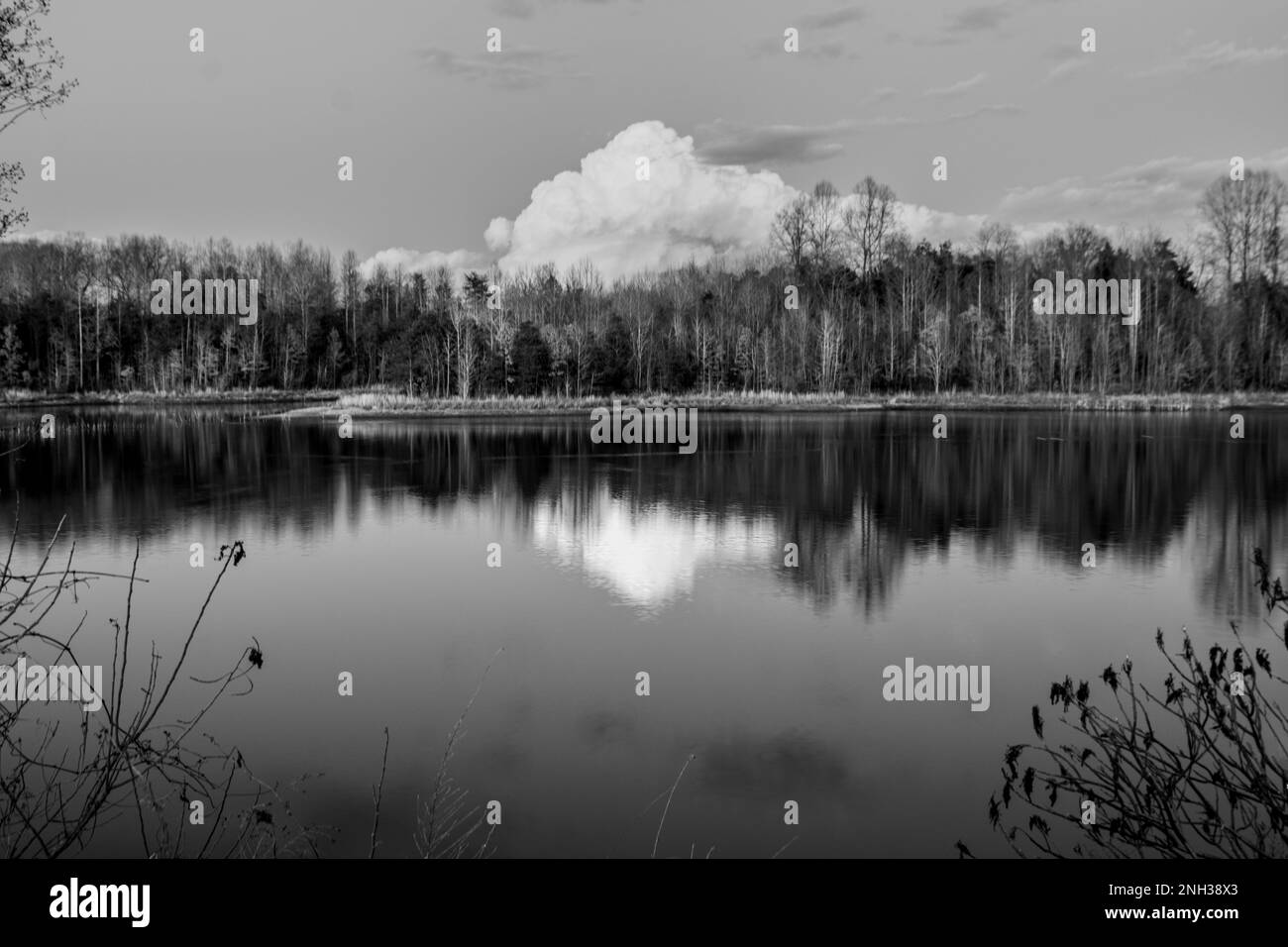 Mountain-shaped cloud behind the tree line of Mooney Lake during sunset. Stock Photo