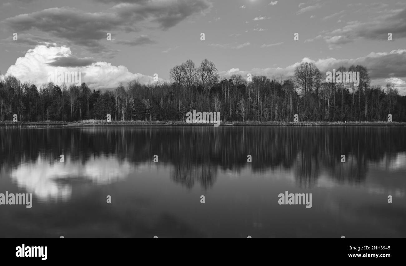 Mountain-shaped cloud behind the tree line of Mooney Lake during sunset. Stock Photo