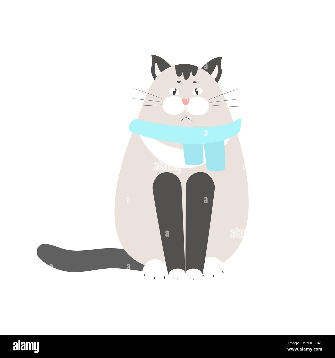 Funny cat in a scarf, pet vector illustration isolated. Siamese cat