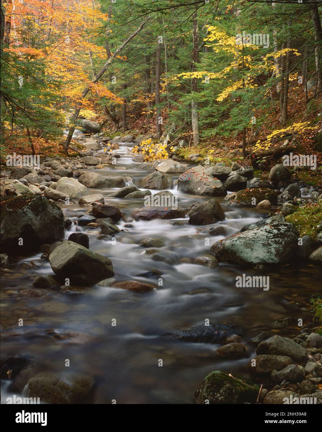 White mountain national forest hi-res stock photography and images - Alamy