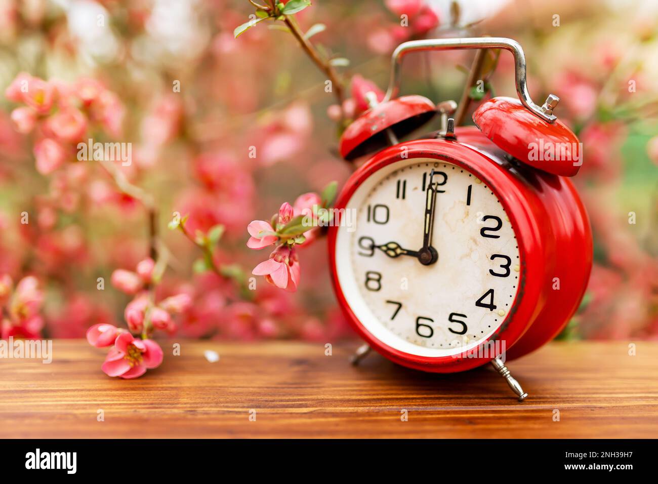 Pink flowers and retro red alarm clock. Spring forward, springtime or