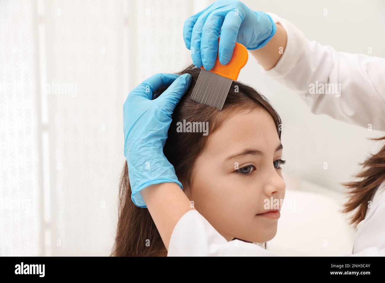 Doctor using nit comb on little girl's hair indoors. Anti lice