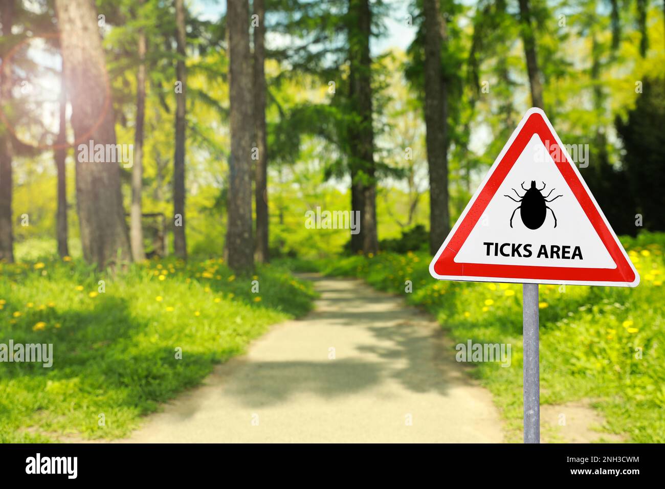Warning sign Beware of ticks in forest on sunny day Stock Photo