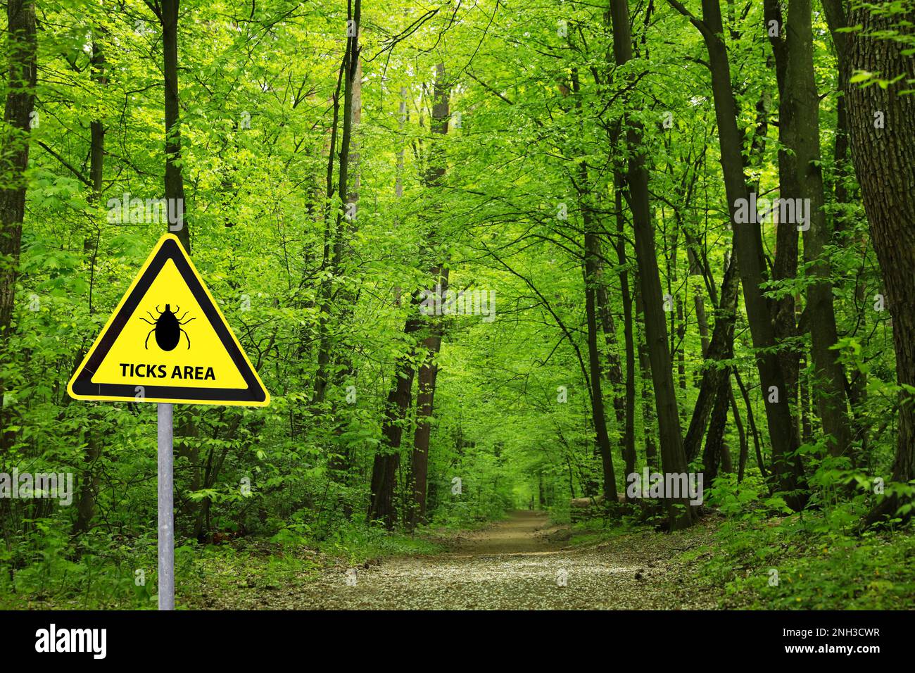 Warning sign Beware of ticks in forest on sunny day Stock Photo