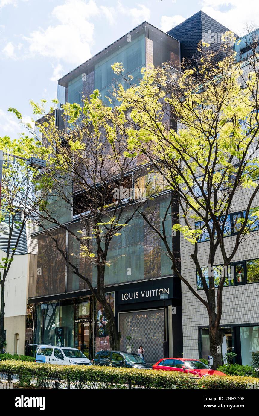 Exterior, the Louis Vuitton Tokyo Omotesando store. Facade is offset panels  of tinted glass behind sheets of metal mesh designed by Aoki Jun. Daytime  Stock Photo - Alamy