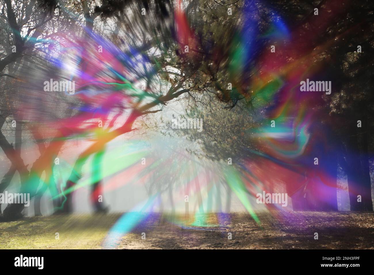 View of forest and flashing lights effect. Migraine aura, symptom of disease Stock Photo