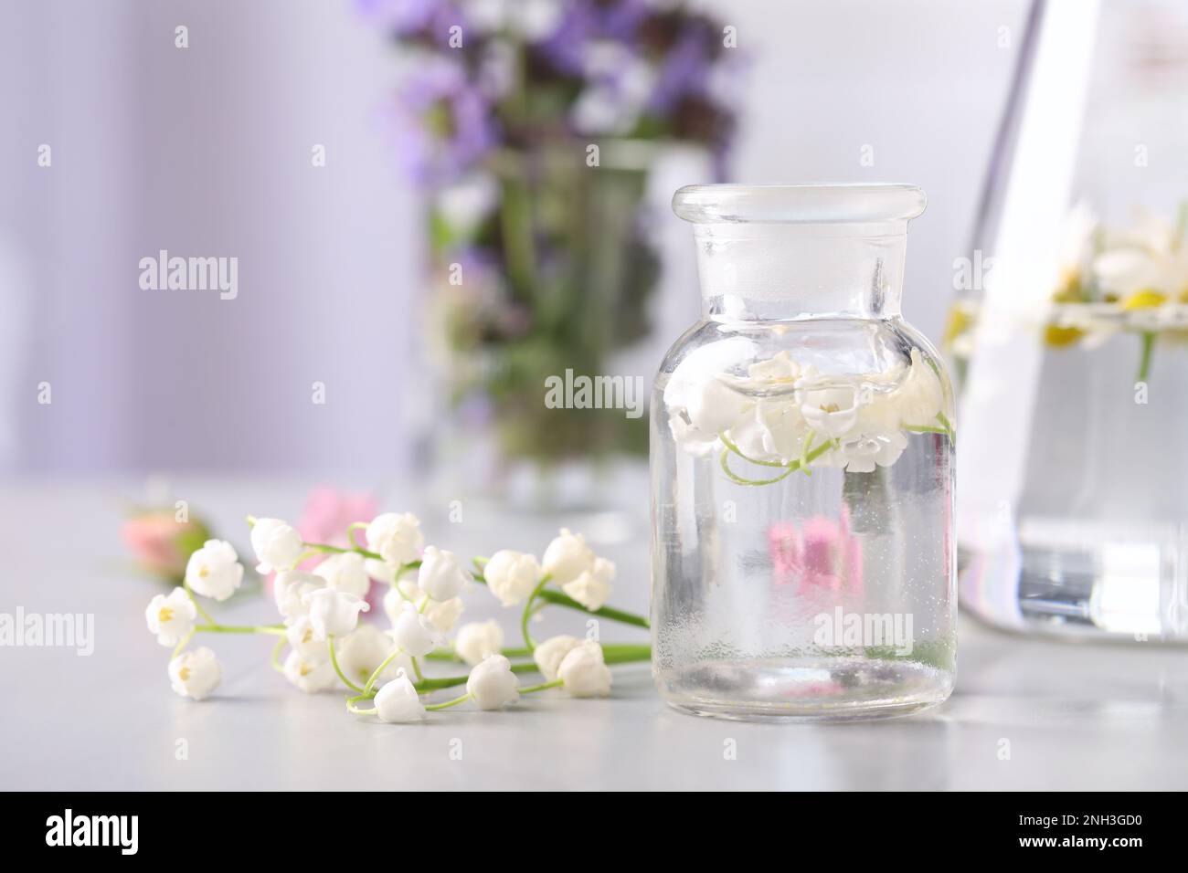 Lily of the valley, essential oil, extract, tincture, infusion, remedy,  herbal capsules. Fresh flowers Convallaria majalis 4518778 Stock Photo at  Vecteezy