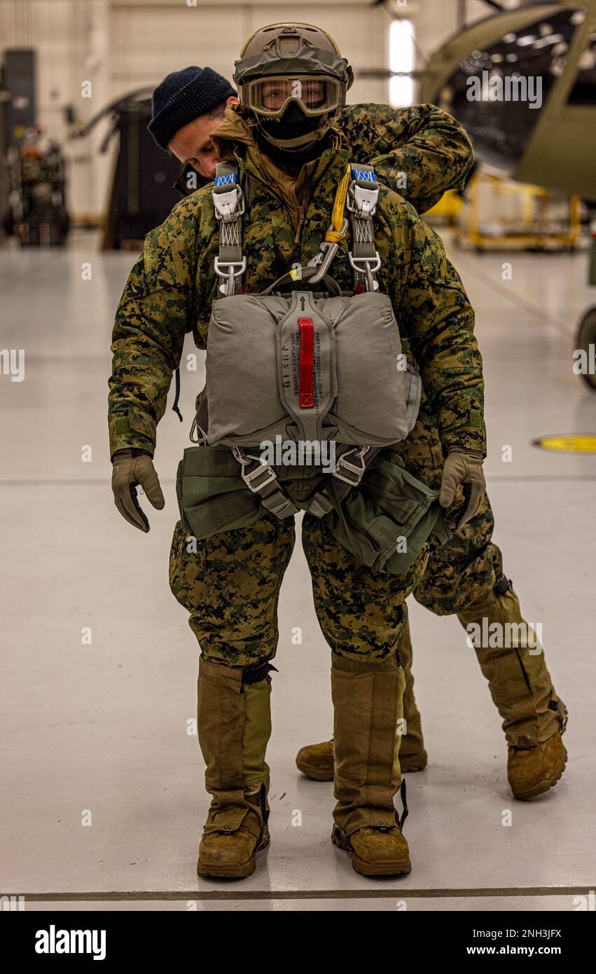U.S. Marines with 2d Reconnaissance Battalion, 2d Marine Division ...