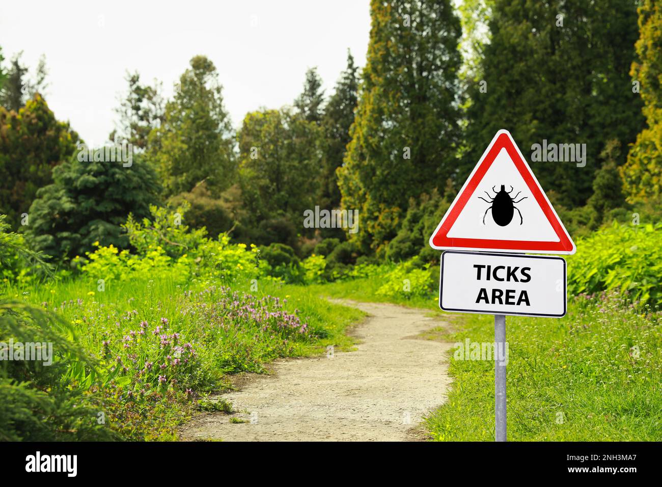 Warning sign Beware of ticks in forest on sunny day Stock Photo